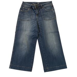 The Limited Crop Wide-Leg Jeans Denim Size 6